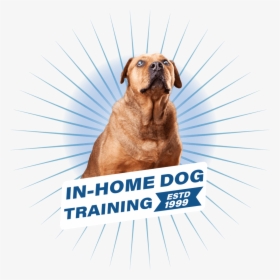 Ray Looking Forward With The In Home Dog Training Text, HD Png Download, Transparent PNG