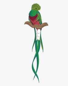 Quetzal Png, Transparent Png, Transparent PNG