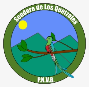 Quetzal Png, Transparent Png, Transparent PNG