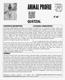 Quetzal Png, Transparent Png, Transparent PNG