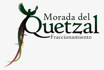 Logo Quetzal Verde, HD Png Download, Transparent PNG
