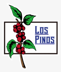 Pinos Png, Transparent Png, Transparent PNG