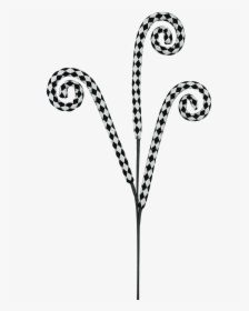 Black/white Harlequin Curly Spray, HD Png Download, Transparent PNG