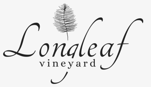 Longleaf Logo Vineyard Asheville Wedding Events, HD Png Download, Transparent PNG