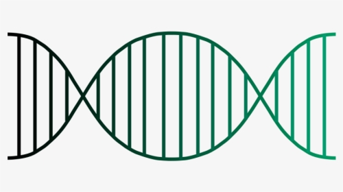 Genes Png, Transparent Png, Transparent PNG