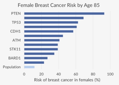Female Breast Cancer Risk By Age, HD Png Download, Transparent PNG