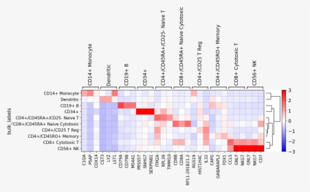 Images/visualizing Marker Genes 57 0, HD Png Download, Transparent PNG