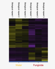 Heat Map With Genes Turned On Or Off (purple) For A, HD Png Download, Transparent PNG