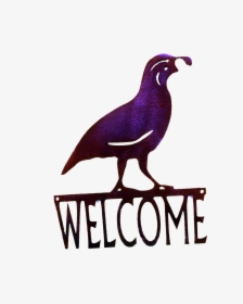 Quail Welcome-small Larger Image, HD Png Download, Transparent PNG
