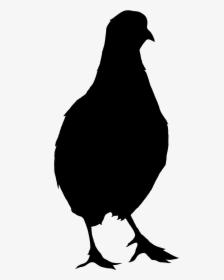 Northern Bobwhite Vector Graphics Chicken Silhouette, HD Png Download, Transparent PNG