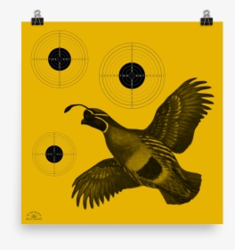 Quail Target, HD Png Download, Transparent PNG