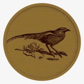 Quail Png, Transparent Png, Transparent PNG