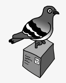 The Pigeon Post Project Is Developing A System Of Technologies, HD Png Download, Transparent PNG