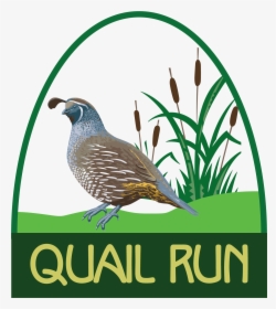 Quail Run Golf Links, HD Png Download, Transparent PNG