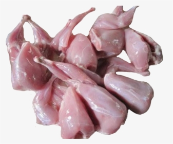 Quail Png, Transparent Png, Transparent PNG