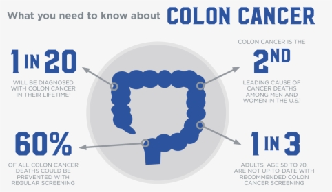 Colon Cancer Infographic, HD Png Download, Transparent PNG