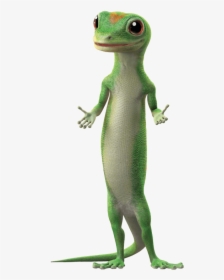 Geico Lizard, HD Png Download, Transparent PNG