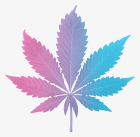 Paradiso Gardens Indica Hybrid Leaf, HD Png Download, Transparent PNG