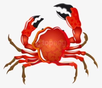 Crab Clipart Png, Transparent Png, Transparent PNG