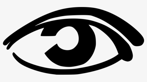 Eyelash Simple Eye In Invertebrates Eyebrow Organ, HD Png Download, Transparent PNG