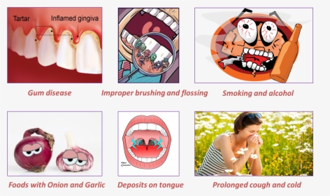 Common Causes Of Bad Breath Or Halitosis, HD Png Download, Transparent PNG