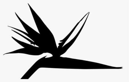 Transparent Bird Paradise Plant Logo, HD Png Download, Transparent PNG
