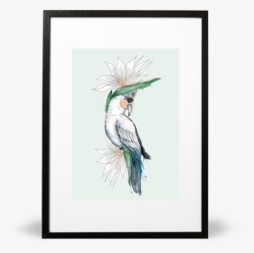 Bird Of Paradise Illustrative Print, HD Png Download, Transparent PNG