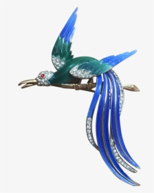 Bird Of Paradise Png, Transparent Png, Transparent PNG
