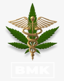 Bruce Banner Png, Transparent Png, Transparent PNG