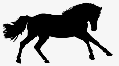 Pferd Silhouette, HD Png Download, Transparent PNG