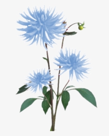 Blue Texture Png, Transparent Png, Transparent PNG