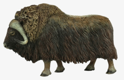 Musk Ox Figurine, HD Png Download, Transparent PNG