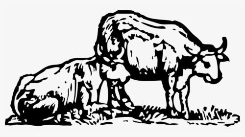 Ox Png, Transparent Png, Transparent PNG