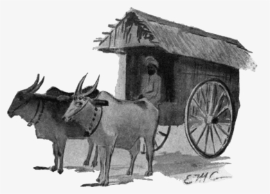 Ox Drawn Covered Wagon, HD Png Download, Transparent PNG