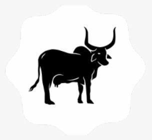 Ox Clipart Gir Cow, HD Png Download, Transparent PNG