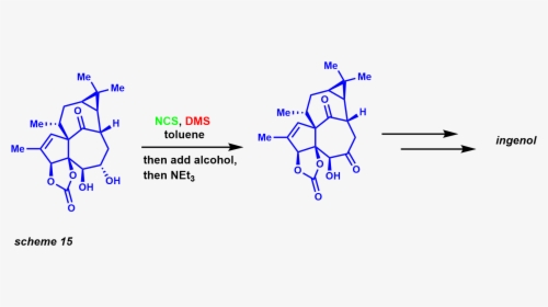 Corey Kim Ox Synthesis Example15, HD Png Download, Transparent PNG