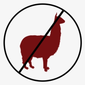 Annie Png, Transparent Png, Transparent PNG
