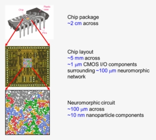 Computer Chip Brain Cmos Circuit, HD Png Download, Transparent PNG