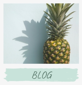 Pineapple .png, Transparent Png, Transparent PNG