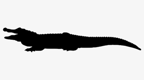 Crocodile Animal Silhouette Free Photo, HD Png Download, Transparent PNG