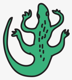 A Drawing Of A Alligator Head, HD Png Download, Transparent PNG