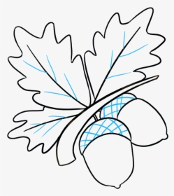 How To Draw Acorns, HD Png Download, Transparent PNG
