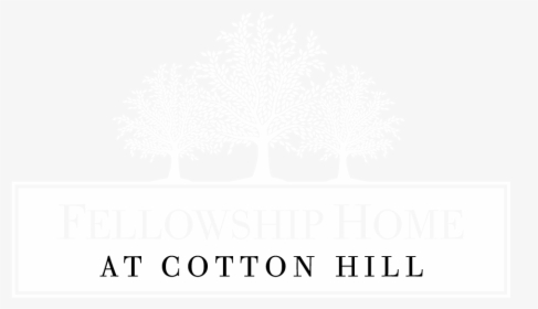 Cotton Plant Png, Transparent Png, Transparent PNG