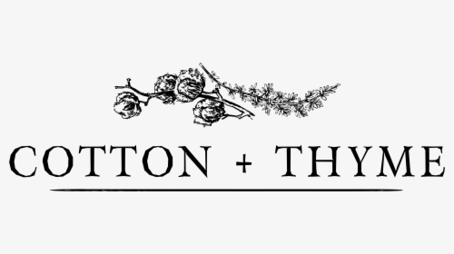 Cotton Thyme, HD Png Download, Transparent PNG