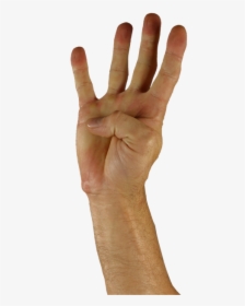 Hand, Finger, Four, Sign Language, HD Png Download, Transparent PNG