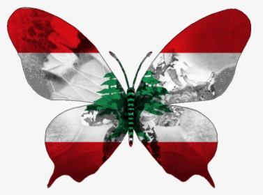 Butterfly .png, Transparent Png, Transparent PNG