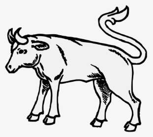 Bull Horn Png, Transparent Png, Transparent PNG