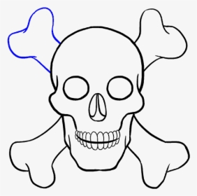 skull drawing easy step by step