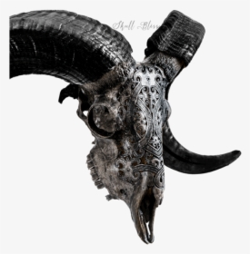 Carved Ram Skull - Skull, HD Png Download, Transparent PNG