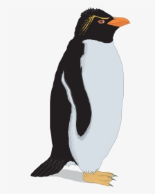 Rockhopper Penguin Clip Art, HD Png Download, Transparent PNG